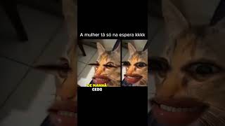 Quase que o gatinho se deu mal 😱😂 shorts pets cães cachorro [upl. by Allenrac561]