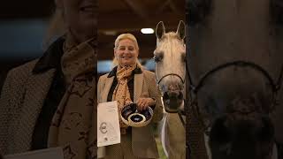 HELEN HENNEKENS VANNES amp FLAXMAN ARABIANS  European Championships 2023 [upl. by Melgar182]