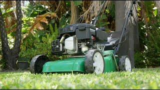 Cheetah 16quot Lawn Mower Review [upl. by Nova]