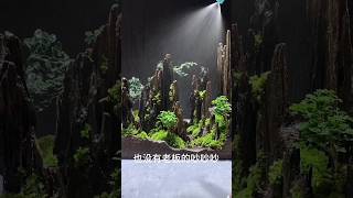 Moss Bonsai Moss Micro Landscape bonsai art 苔藓微景观《nana works welcome to subscribe shorts [upl. by Pacorro699]