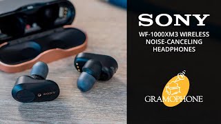 Sony WF1000XM3 Noise Cancelling Earbuds  Unboxing amp Review [upl. by Nasus]