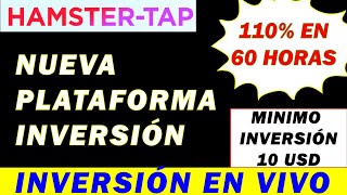 HAMSTERTAP Nueva PLATAFORMA de INVERSIÓN  110 en 60 HORAS  Min INVERSIÓN 10 USD  BOUNTY [upl. by Yot847]