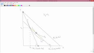 Intermediate Microeconomics Lump Sum Taxes Part 4 [upl. by Sandry31]