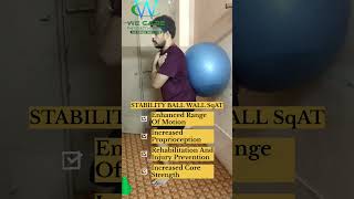 STABILITY BALL WALL SQUAT physiotherapy anatomy [upl. by Entroc]