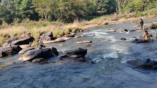 Serenity in Sirsi 🌿  Discovering Sahasralingas Thousand Lingas [upl. by Tilla737]