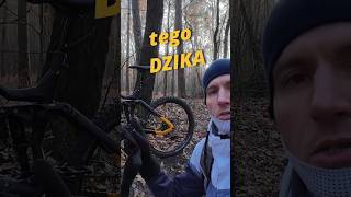 Recenzja  Rower Elektryczny HAIBIKE NDURO 6 [upl. by Eugenio473]