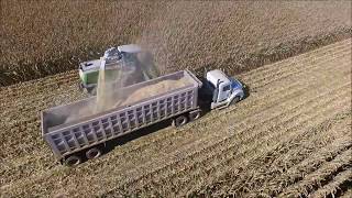 Grooters Feedyard Earlage Harvest 2017 [upl. by Kaplan170]