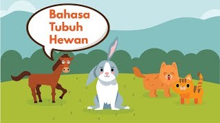 Bahasa Tubuh Hewan [upl. by Egedan]