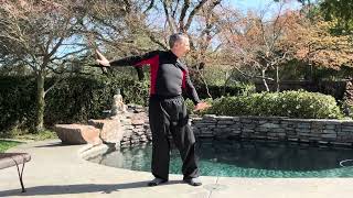 DRAGON TAIL QI GONG EXERCISE FOR BALANCE davidmitchell6972 [upl. by Assile]