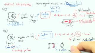 ANEMIA FALCIFORME  BIOQUÍMICA FÁCIL [upl. by Ettezus]