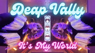 Deap Vally  Its My World  official music video [upl. by Daphna]