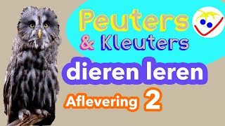 Dierennamen  Eerste Woordjes  Dieren Leren Aflevering 2 Peuters en Kleuters [upl. by Devland130]