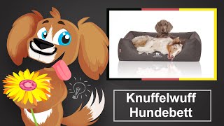 🐶 Knuffelwuff Hundebett – Einschätzung und Kaufratgeber [upl. by Gerdeen]