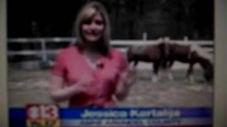 Pit bull attacks horse in Maryland [upl. by Aisinut]