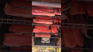 Smoking last years Salmon  PART 1 alaska smokedfish salmon canning shorts [upl. by Goldarina]