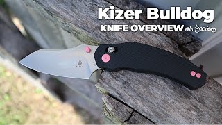 Kizer Bulldog Folding Knife  5Minute Review  Atlantic Knife [upl. by Kaete]