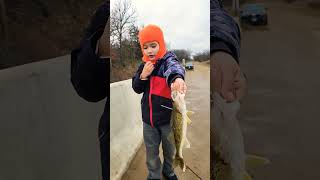 Nice 17 inch walleye Fishing [upl. by Tabbi]