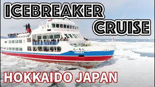 ❄️Hokkaido Drift Ice Experience  Abashiri Icebreaker Ship in Japan [upl. by Anier]