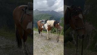 Gudauri Georgia 🇬🇪 gudauri georgia visitgeorgia travel [upl. by Grew]