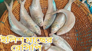 তেল ঝাল কাচা ইলিশ রেসিপি। ilish recipeilishfishayeshakitchen890 [upl. by Abeh486]