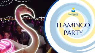 Miami Flamingo Party Pappasole [upl. by Jehias]