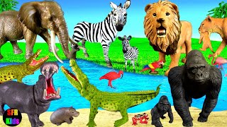 Big Cat Week  Zoo Animals  Lion Elephant Rhino Zebra Crocodile Gorilla SFR Kids 🐘 🦁🦓🐊🦛🦍 [upl. by Lucania]