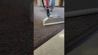 Heavy Carpet Steam Cleaning steamcleaning [upl. by Ecirp]