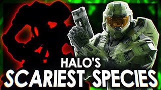 The Scariest Species in Halo lore Worse Than The Flood [upl. by Reichel508]