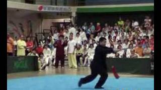 taiji sword  Fu chin chun [upl. by Nylarad]