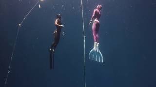 Aleksey Molchanov and Elena Molchanova freediving champions [upl. by Gaut881]