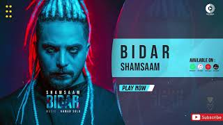 Shamsaam  Bidar  OFFICIAL TRACK شمسام  بیدار [upl. by Ailerua]