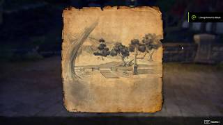 The Elder Scrolls Online  Treasure Map  Auridon Auridia II [upl. by Yeoz]