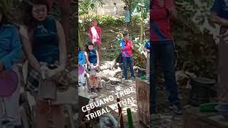 CEBUANO TRIBE VLOG003 [upl. by Eniluqcaj444]