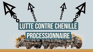 Comment éliminer les chenilles processionnaires  Les différents moyens de lutte contre la chenille [upl. by Cynthia155]