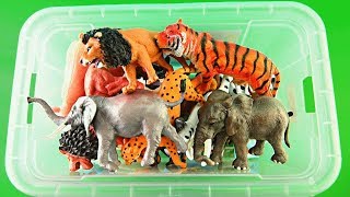 Box Of Toys Wild Zoo Animals Safari Toy Zoo Animal Names For Kids [upl. by Cordey]