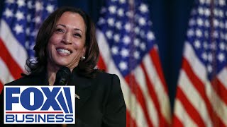 Rove slams Harris unchecked debate claims She said things that were clearly not true [upl. by Yssis440]