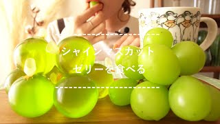 【咀嚼音】シャインマスカットゼリーを食べる【Eating Sounds】 [upl. by Ehrlich]