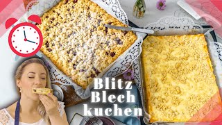 BLITZ BLECHKUCHEN  2 Blechkuchen in 30 Minuten  Kuchen vom Blech für Grillparty [upl. by Adnauq]