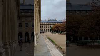 Paris Palais Royale  Serene Scenes paris serenity travel palaisroyal [upl. by Eserehc]