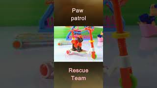 PAW Patrol Pups Rescue Each Other 🐶  PAW Patrol  Cartoons for Kids Compilation [upl. by Ahsieym644]