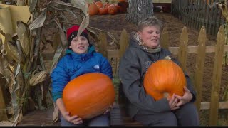 Valewood Farms opens up Pumpkin Patch [upl. by Kayley]