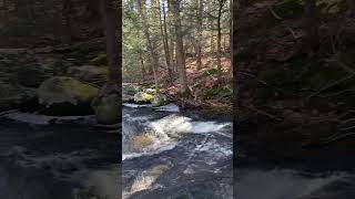 Spruce Brook below the old Stones’s Pond dam [upl. by Tu]