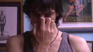 Vishnu Mudra Hand Position for Pranayama with David Garrigues [upl. by Wolfort]