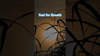 Fuel for Growth youtubeshorts shorts motivation [upl. by Malha]