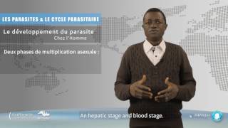 Les parasites et le cycle [upl. by Ain]