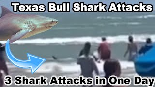 3 Texas Shark Attacks in One Day Bull Shark 2024 Padre Island Tabitha Sullivant [upl. by Rephotsirhc]