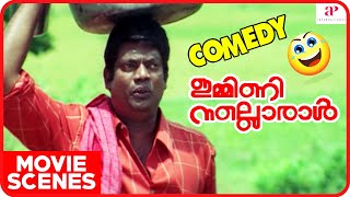 Immini Nalloral Movie Scenes  Super Comedy Scenes part 1  Jayasurya  Navya Nair  Siddique [upl. by Kesley]