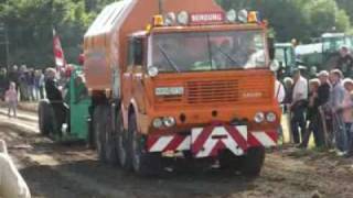 Tatra 813 beim Trecker Treck [upl. by Efar]