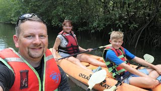 Langkawi Mangrove Kayak Tour [upl. by Eelyek989]