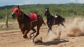 Carreras de Caballos en Opodepe 13 de Agosto 2017 [upl. by Mallen430]